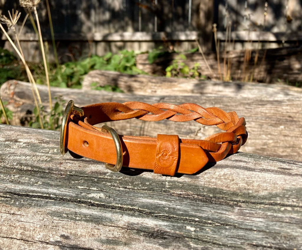 Braided Leather Collar