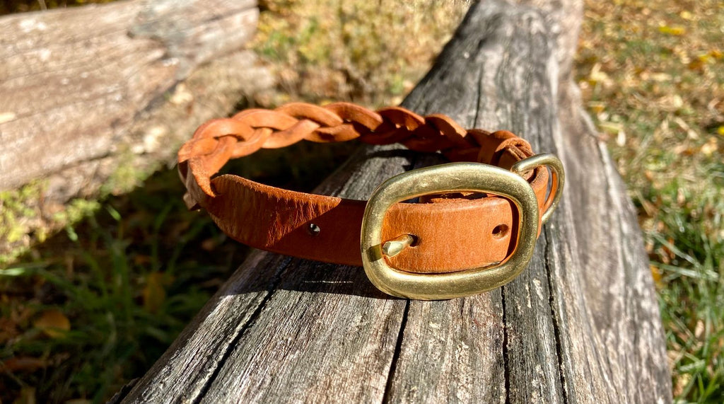 Braided Leather Collar