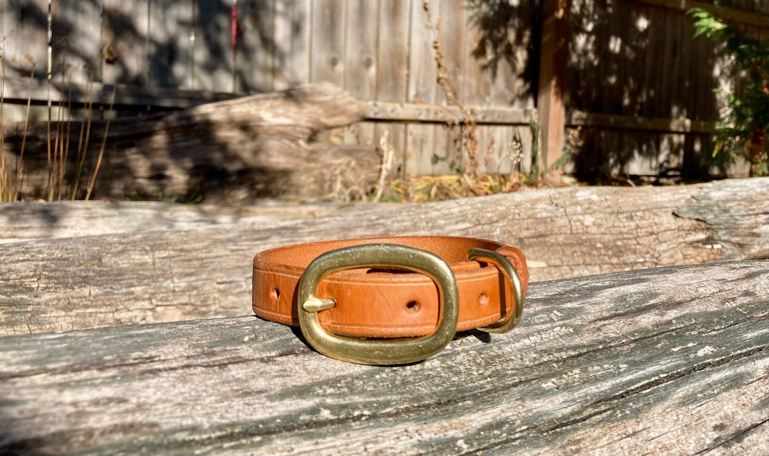 Classic Leather Collar – Personalized with Your Dog's Name