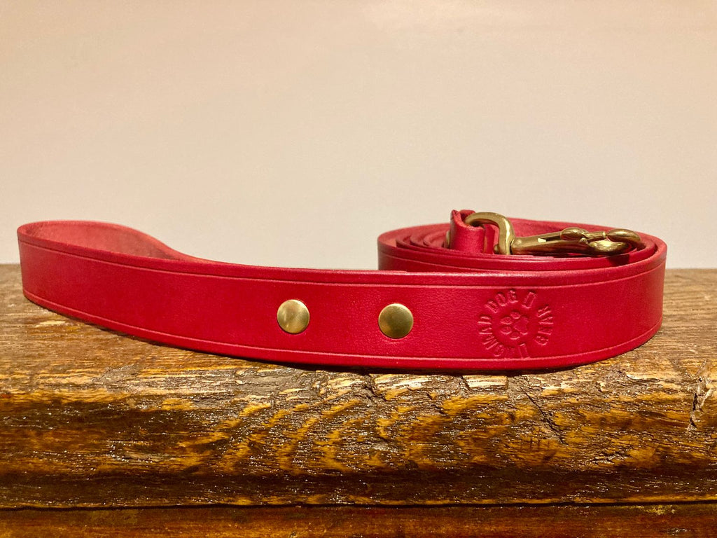 Classic Leather Leash