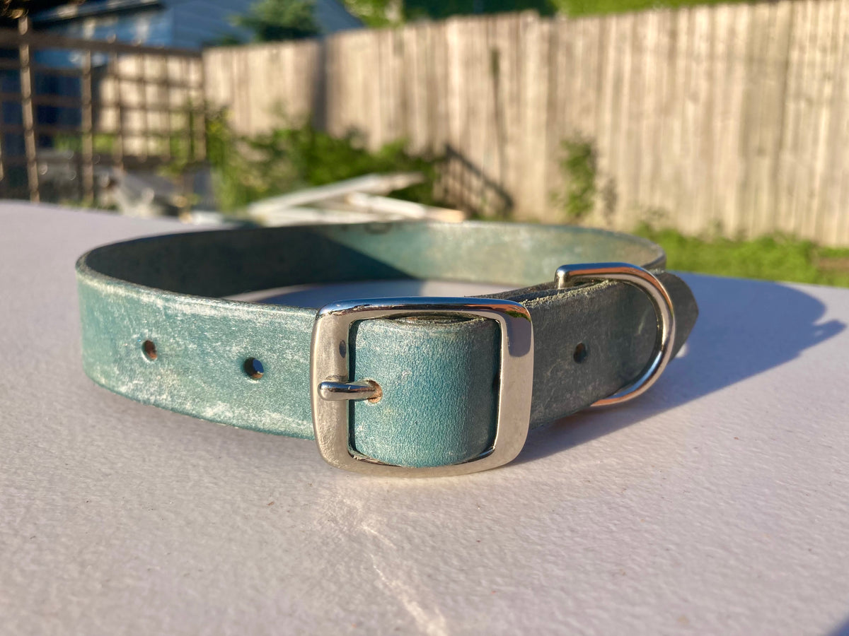 Classic collar - Cobalt blue w/frost finish